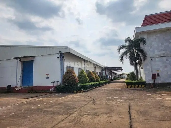 Cho Thuê 5000M2 ,10.000M2 Xưởng Trong Kcn Nam Tân Uyên Bình Bình Dương