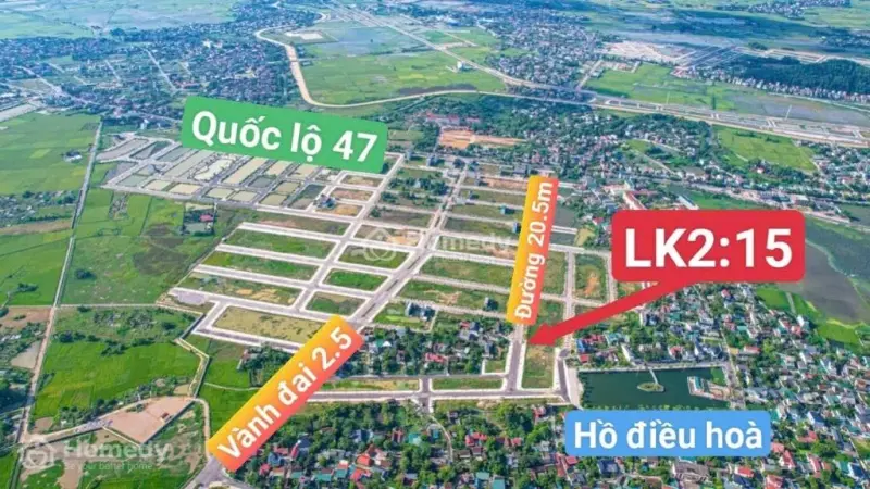 6033205 ảnh đại diện 1
