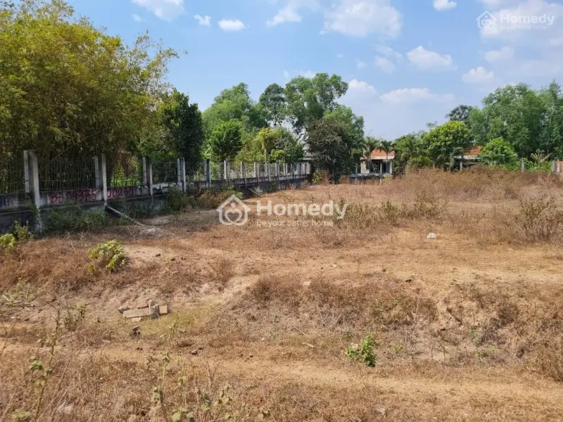 Bán Gấp Đất Nông Nghiệp Mặt Tiền Đường Đt 821, Ấp Lộc Hòa, Xã Lộc Giang, Huyện Đức Hòa, Long An.