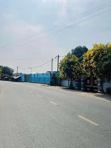Bán Đất Mặt Tiền Đường Củ Chi (Ngang 10X50= 500M2 Thổ Cư) - Giá 440Tr