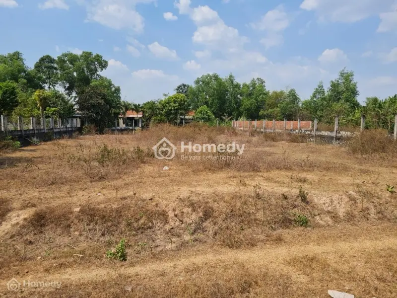 Bán Đất Mặt Tiền Đường Đt 821, Tại Xã Lộc Giang, Huyện Đức Hòa, Tỉnh Long An