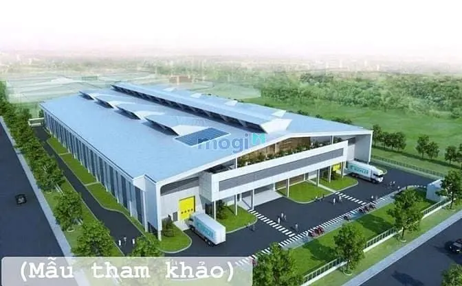 Chính Chủ Gửi Bán 1Ha Đất Skc – Long Tân, Dầu Tiếng – Gần Khu Dân Cư,