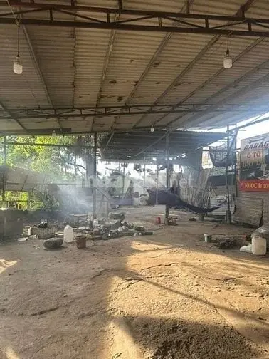 6033216 ảnh đại diện 1