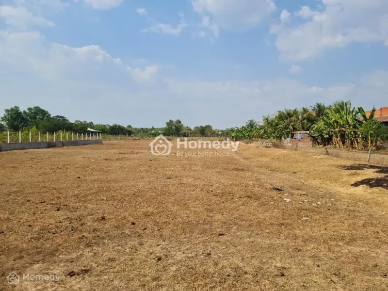 Bán Gấp Lô Đất Mặt Tiền Đường Đt 821, Xã Lộc Giang, Huyện Đức Hòa, Tỉnh Long An