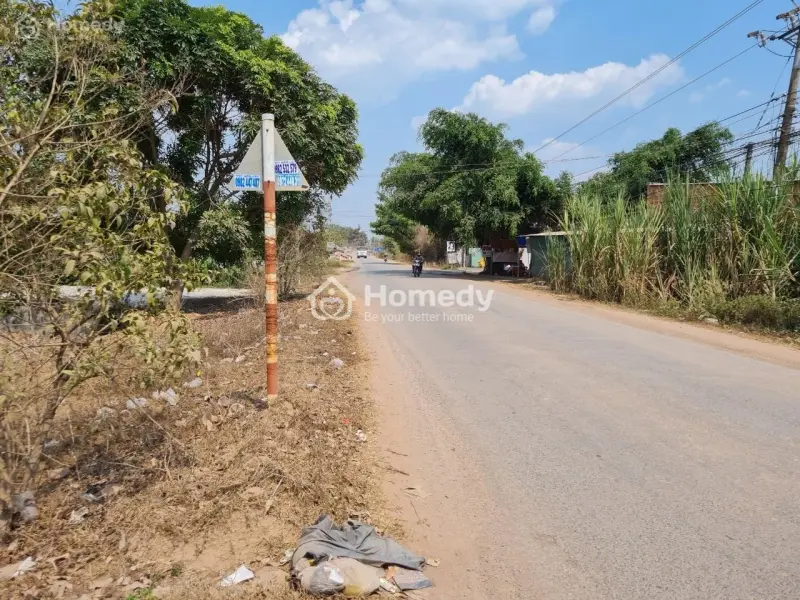 Bán Gấp Đất Nông Nghiệp Mặt Tiền Đường Đt 821, Ấp Lộc Hòa, Xã Lộc Giang, Huyện Đức Hòa, Long An.