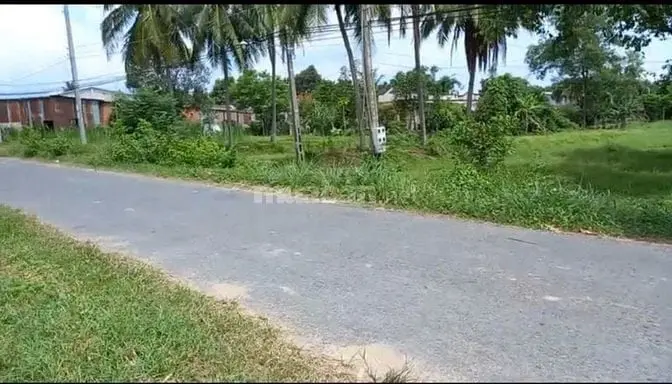 6033702 ảnh đại diện 1