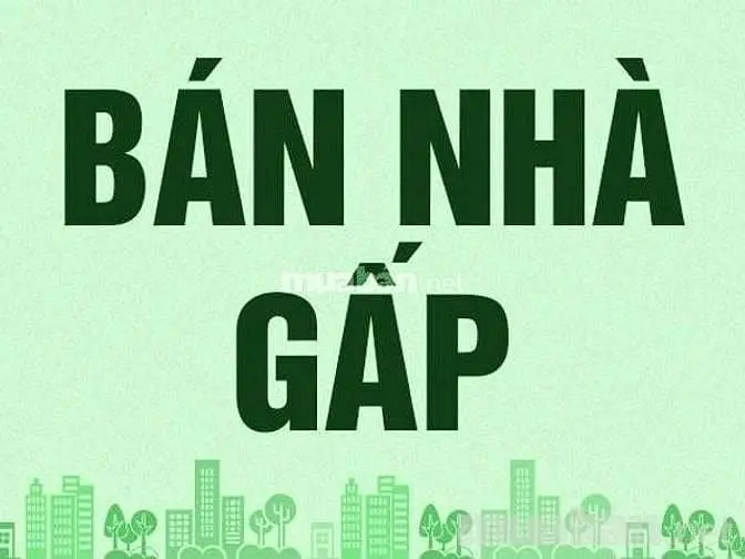 Cần Bán Nhà Hẻm Xe Hơi, Đường Phạm Thế Hiển, P.6, Q.8, Vị Trí Đẹp