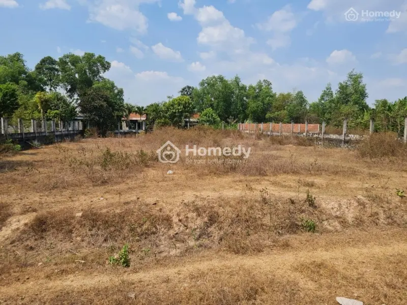 Bán Gấp Đất Nông Nghiệp Mặt Tiền Đường Đt 821, Ấp Lộc Hòa, Xã Lộc Giang, Huyện Đức Hòa, Long An.