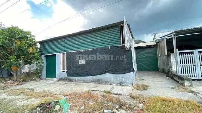 6033600 ảnh đại diện 1