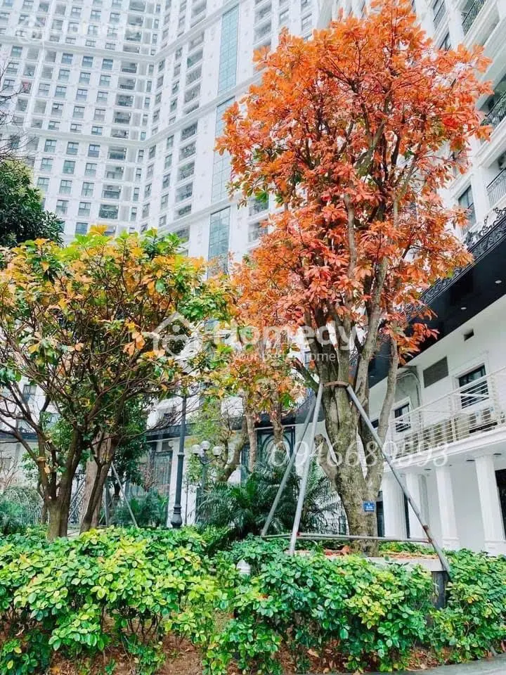 Căn Hoa Hậu Giá Tốt Nhất The Emerald - Ct8. Dt: 142M2-4N3Vs-View Đẹp- Tầng Cao- Full Đồ.