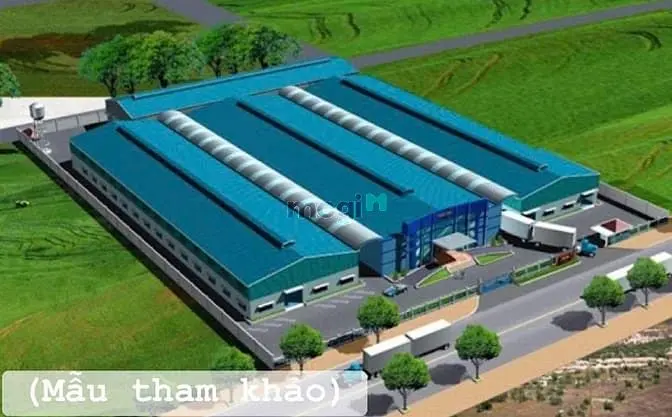 Chính Chủ Gửi Bán 1Ha Đất Skc – Long Tân, Dầu Tiếng – Gần Khu Dân Cư,