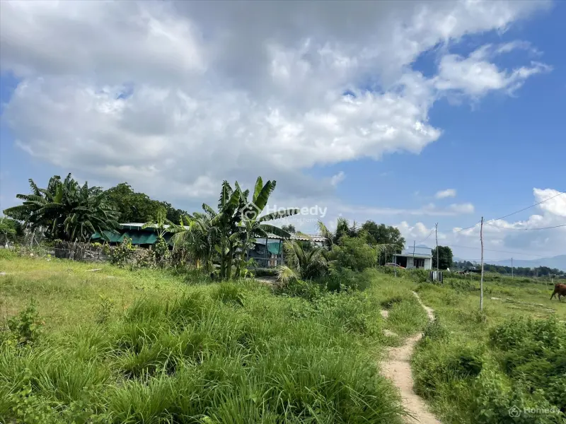6034335 ảnh đại diện 1