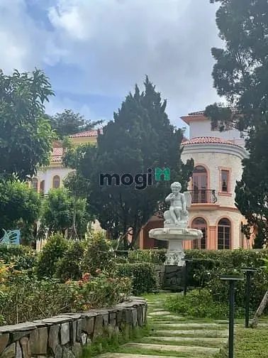 6034268 ảnh đại diện 1