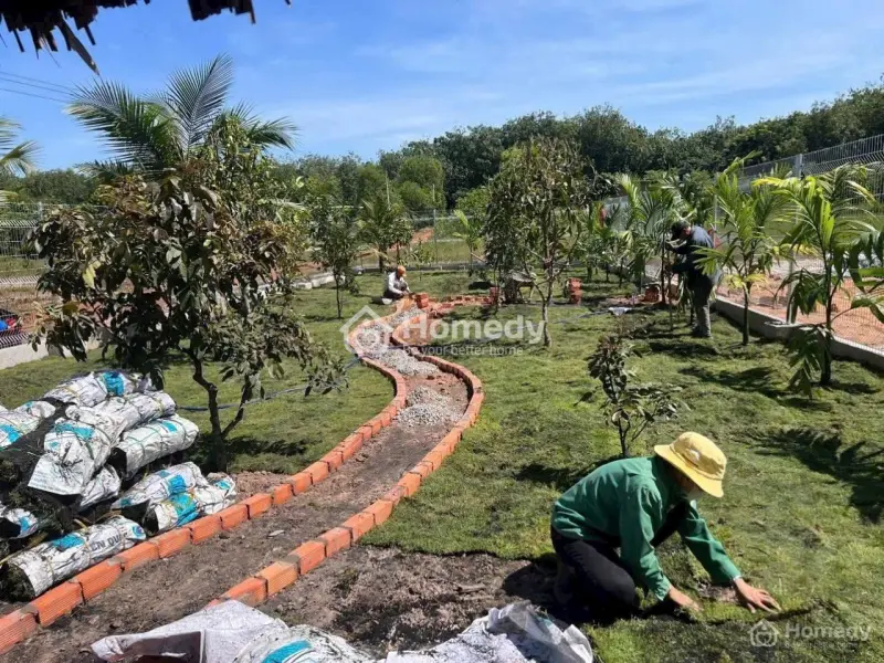 Đất Sổ Sẵn Giá Tốt Đt750 Dầu Tiếng Bình Dương