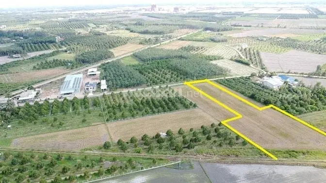 6034179 ảnh đại diện 1