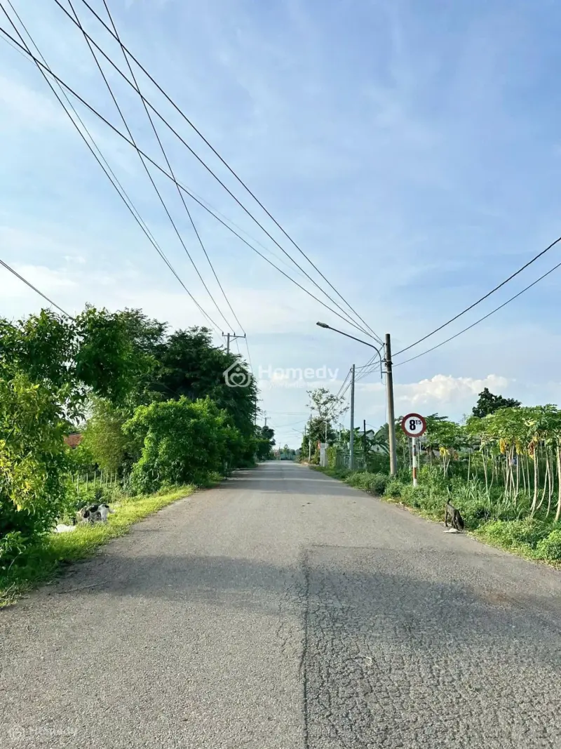 6034260 ảnh đại diện 1