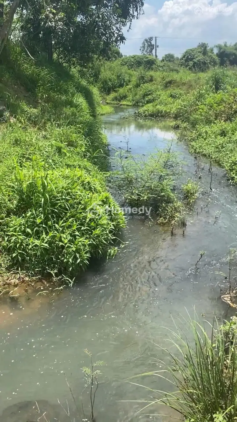 Bán Đất Nền Suối Xuyên Mộc Có Thổ Cư - Mặt Tiền Đường Nhựa - Gần Biển