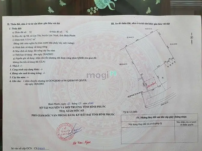 6034159 ảnh đại diện 1