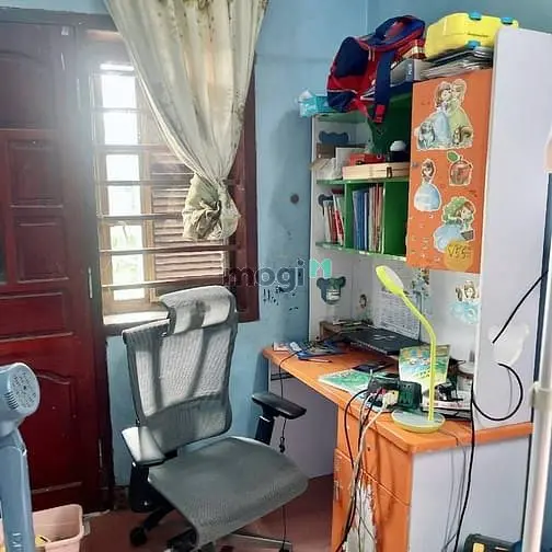 6034489 ảnh đại diện 1