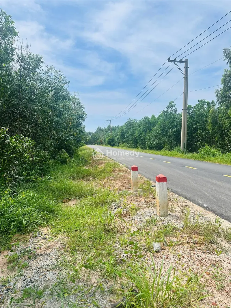 6034346 ảnh đại diện 1