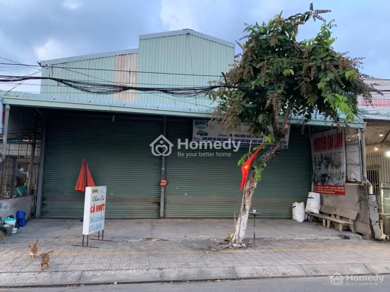 6034259 ảnh đại diện 1
