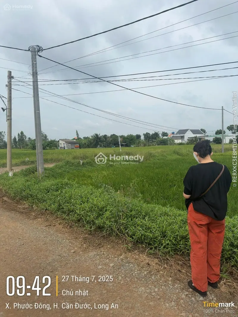 6034128 ảnh đại diện 1