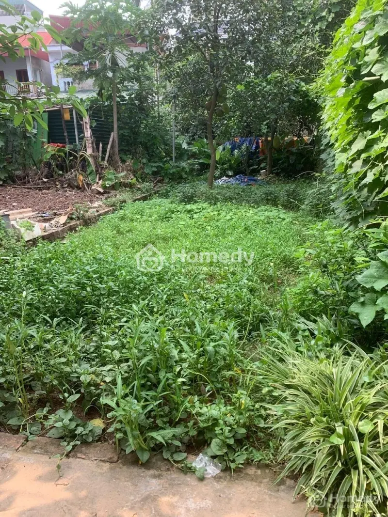 Cần Bán Gấp Đất Ở Ngõ 1144/96 Đường Quang Trung, Yên Nghĩa, Hà Đông