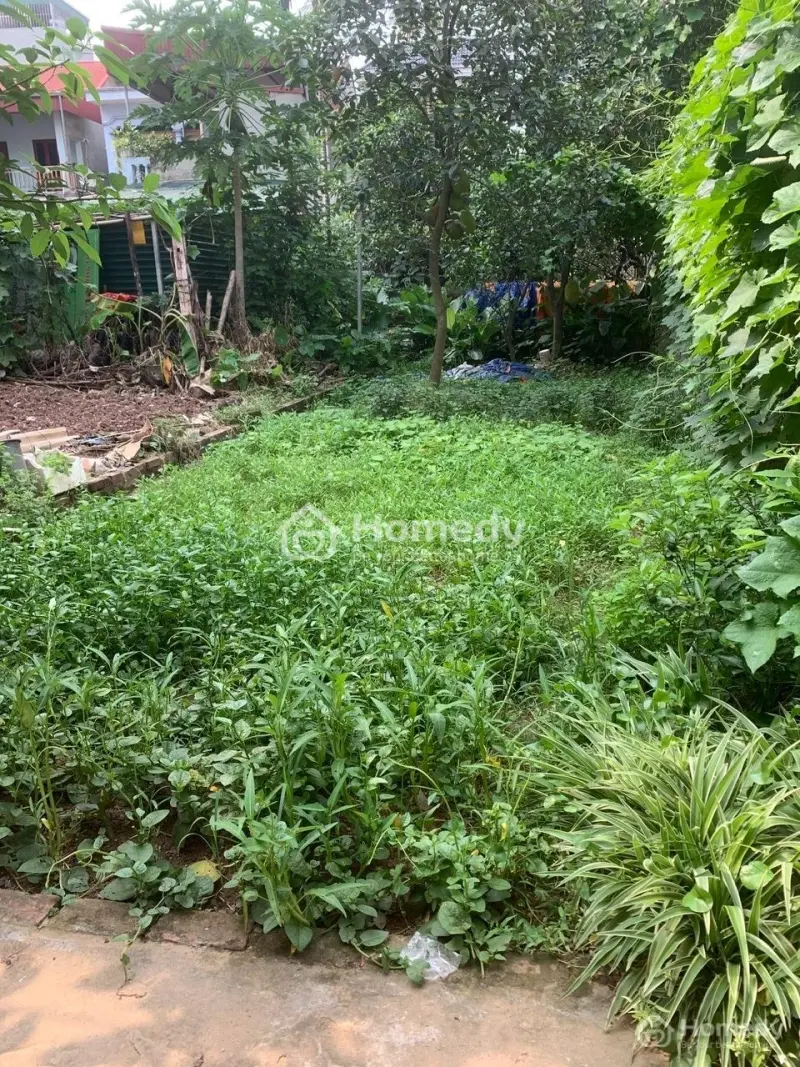 Cần Bán Gấp Đất Ở Ngõ 1144/96 Đường Quang Trung, Yên Nghĩa, Hà Đông