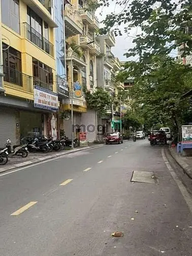6034063 ảnh đại diện 1