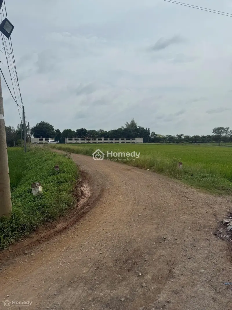 Bán Đất 100M2 Xã Phước Đông, Cần Đước, Long An