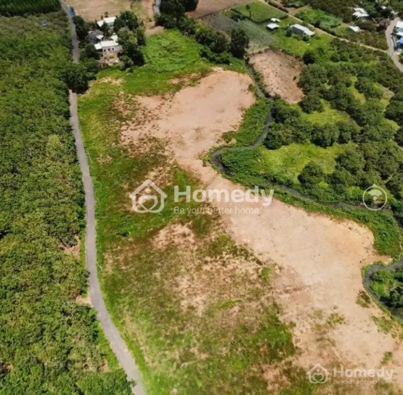 6034257 ảnh đại diện 1