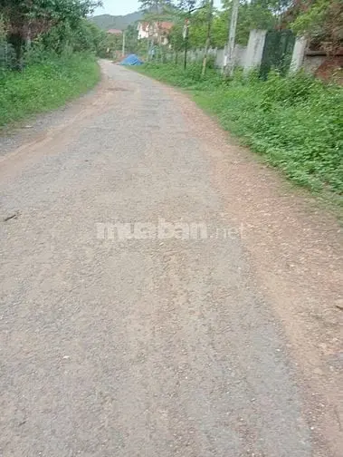 6034031 ảnh đại diện 1