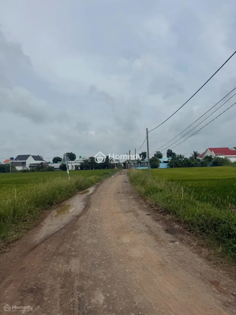 Bán Đất 100M2 Xã Phước Đông, Cần Đước, Long An
