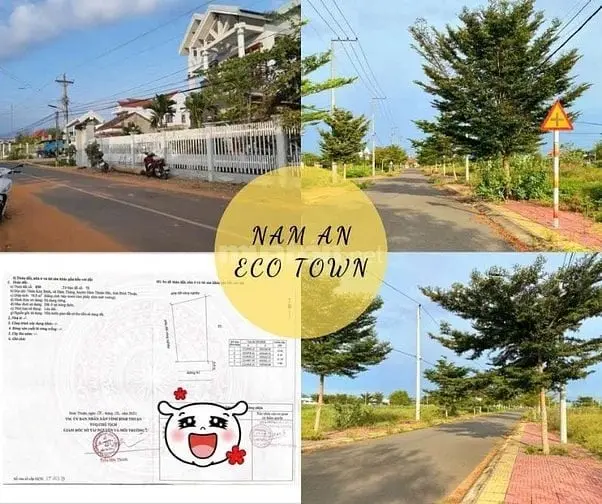 6034435 ảnh đại diện 1