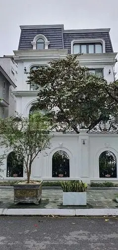 Bán Biệt Thự Phố Trần Thủ Độ - Kđtm Pháp Vân , Dt 300 M2, Lô Góc