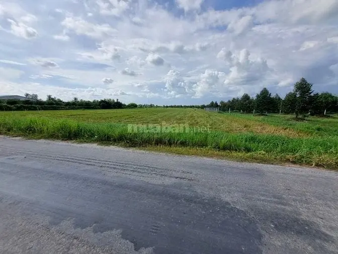 3600M2 Đường Nhựa. Ngay Khu Đô Thị Kcn Phước Đông. 2,6 Tỷ