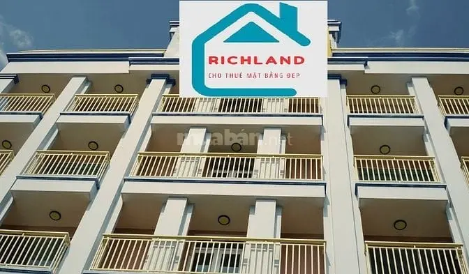 6034906 ảnh đại diện 1