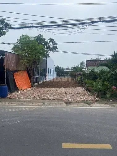 6034550 ảnh đại diện 1