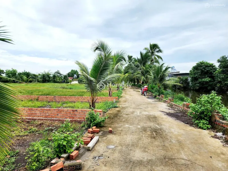 6034797 ảnh đại diện 1
