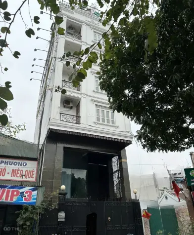 6034729 ảnh đại diện 1