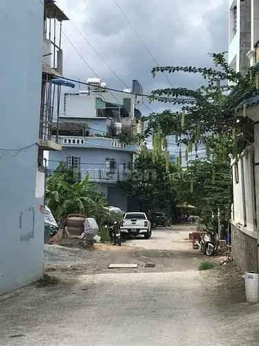 6034779 ảnh đại diện 1
