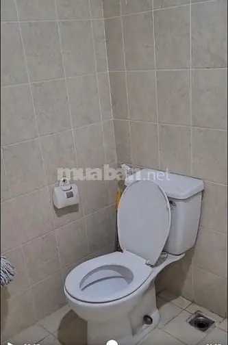 Cho Thuê Căn Hộ Chung Cư Ở Tòa Ct20 B Khu Đô Thị Việt Hưng, Tầng 8