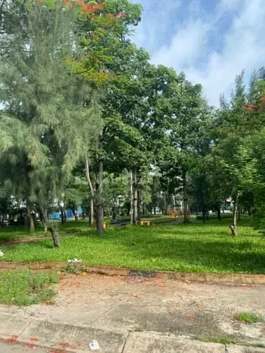 Đất Đường Số 5 Kdc Ấp 5 Phong Phú Dt: 7M X 19,5M