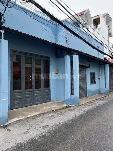 6034552 ảnh đại diện 1