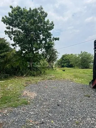 6034625 ảnh đại diện 1