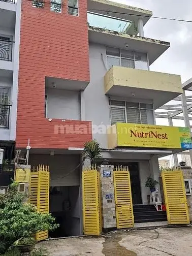 6034502 ảnh đại diện 1