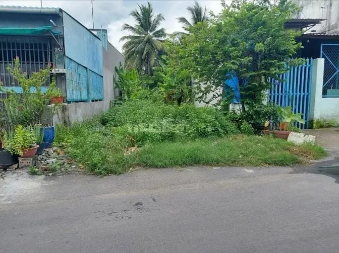 6034554 ảnh đại diện 1