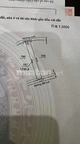 Bác Em Muốn Sang Lại Miếng Vườn Ở Phú Giáo Bình Dương