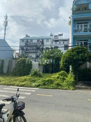6034605 ảnh đại diện 1