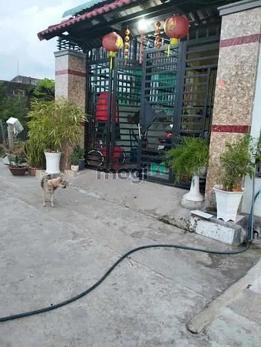 Bán Nhà Hẻm Phở Việt Gần Ủy Ban Phường Tân Triều
